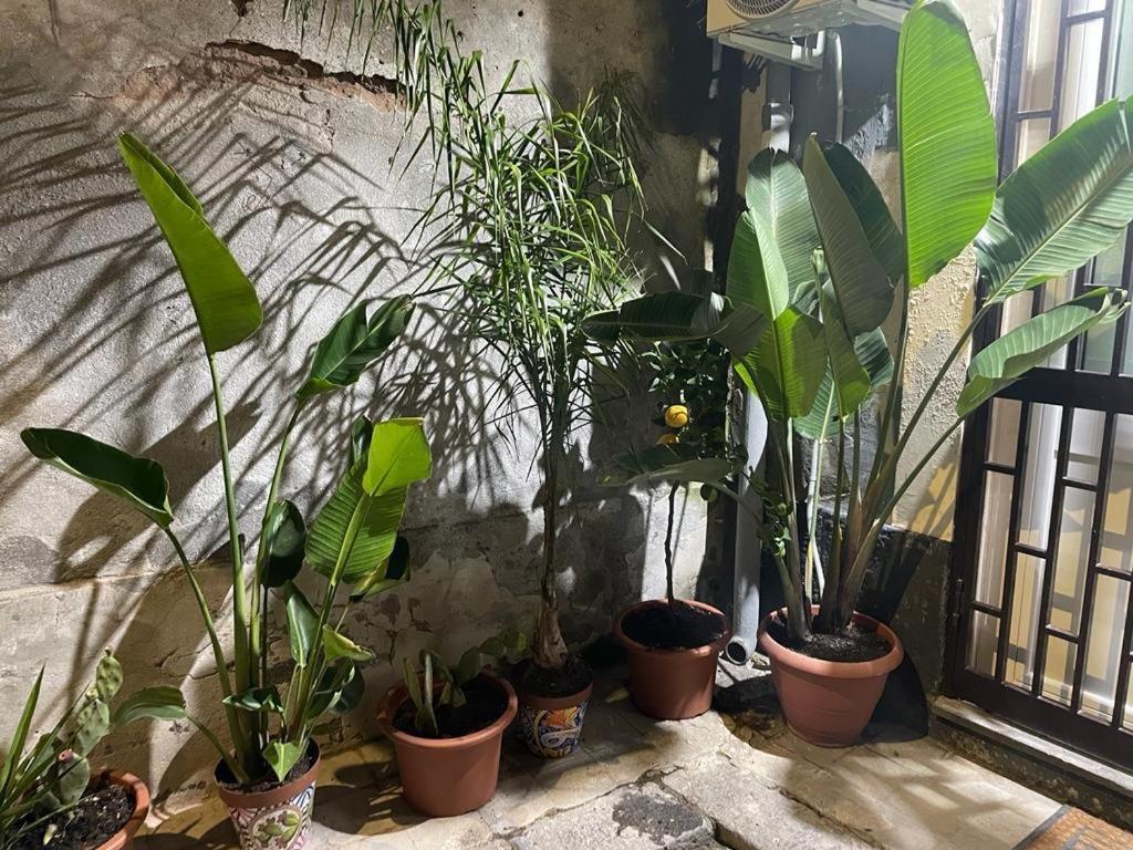 Conny'S House Apartment คาตาเนีย ภายนอก รูปภาพ